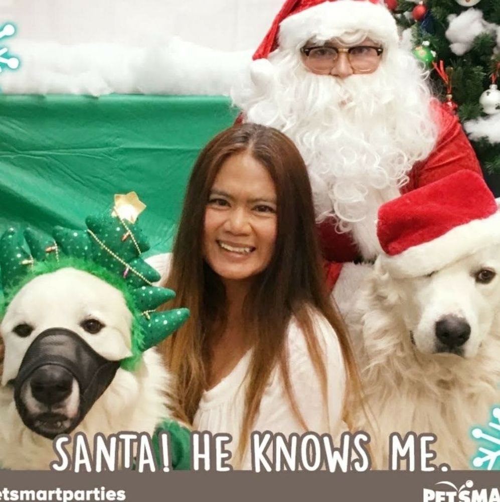 Meet your Posher, Apple